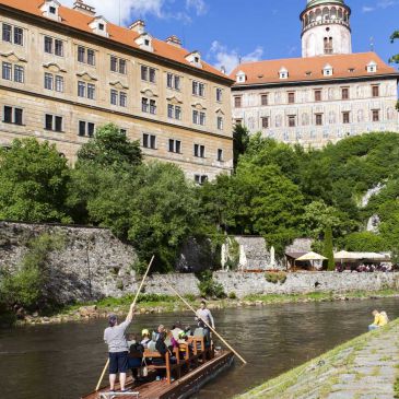 Klicken um zu vergrößern