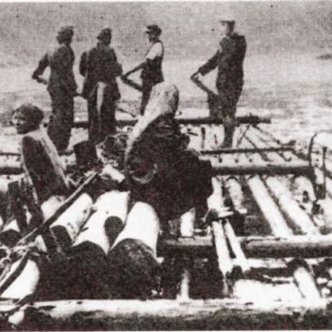 tri-muzi-u-prednich-vesel-plavci-z-hladne_kopie