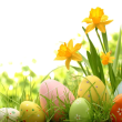Spring - Easter cruises